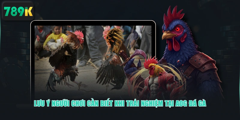 Lưu ý người chơi cần biết khi trải nghiệm tại AOG Đá Gà