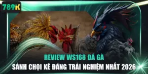 Review WS168 Đá Gà - Sảnh Chọi Kê Đáng Trải Nghiệm Nhất 2026