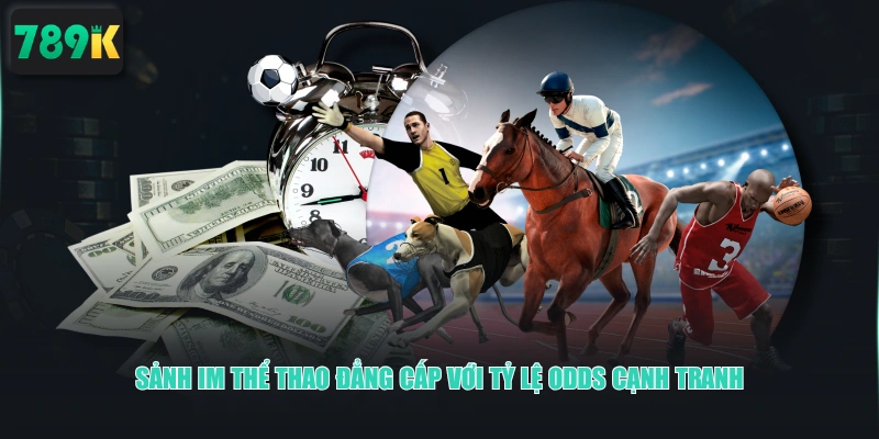 Sảnh IM thể thao đẳng cấp với tỷ lệ odds cạnh tranh